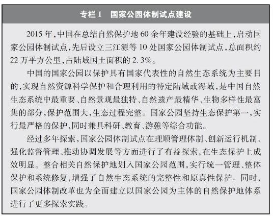 专栏1