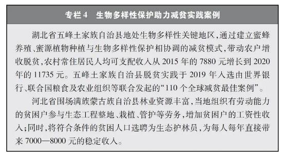 专栏4