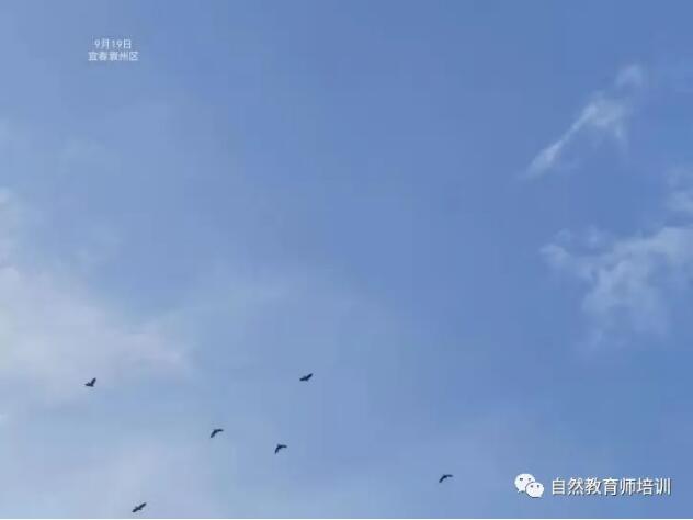 自然1