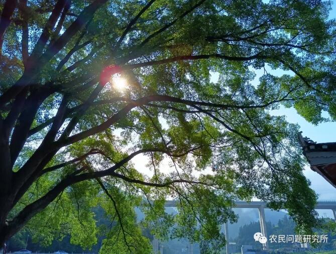 案例1