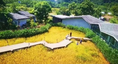 向世界推广乡村振兴经验，广东这两个市为什么能？