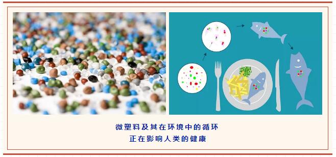 塑料14