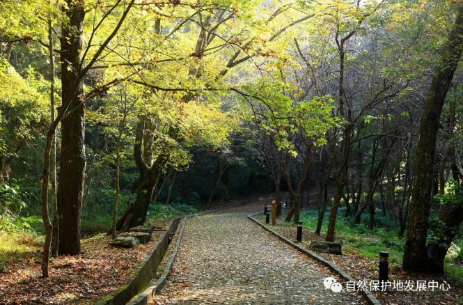 QQ截图20210311175152 QQ截图20210311175152