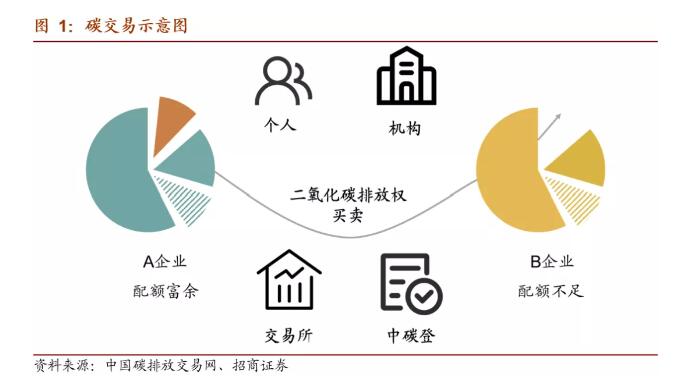 碳汇4