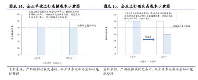 碳汇6