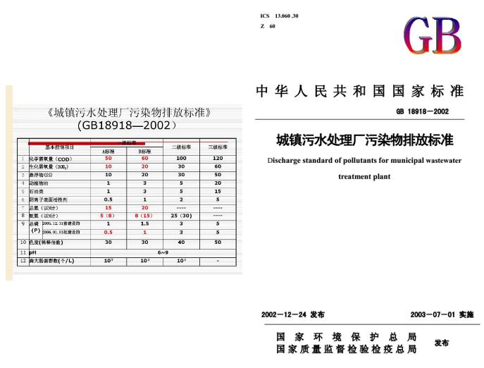 王凯军2