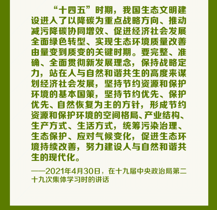 书记5