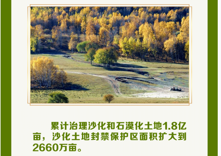 书记8