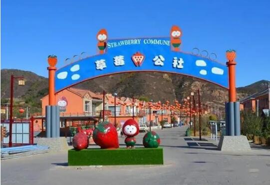 乡村 4