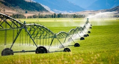RCR新文：区域农作物生产水足迹规模效应的定量评价