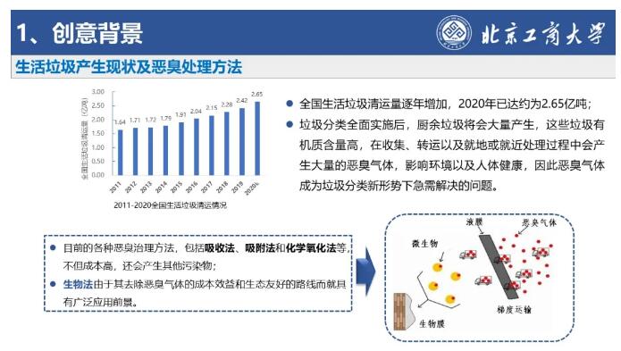 张明露4