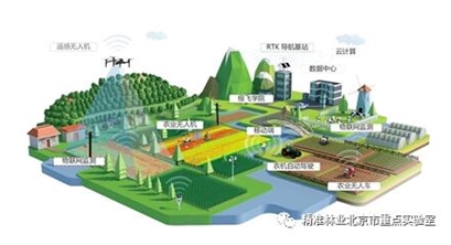 从智慧林业平台建设到智慧区域（工厂、矿山、农场、林场、医院、学校）建设