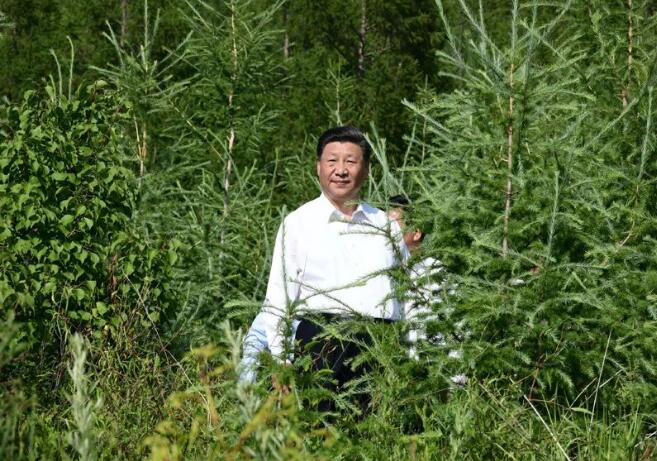 总书记4