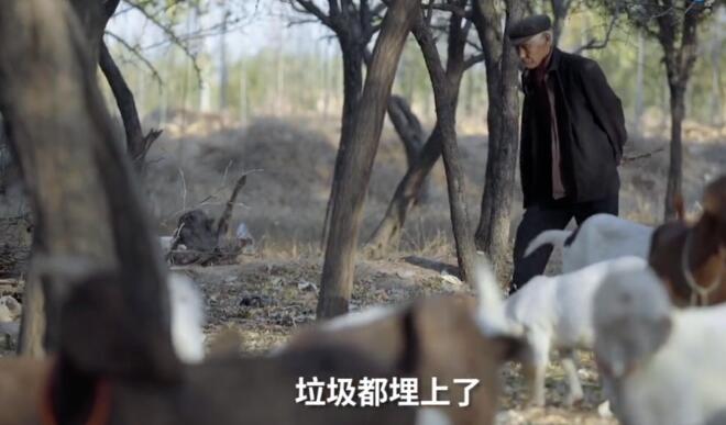 曾经7 曾经7