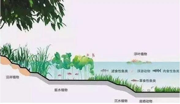 知识分享1