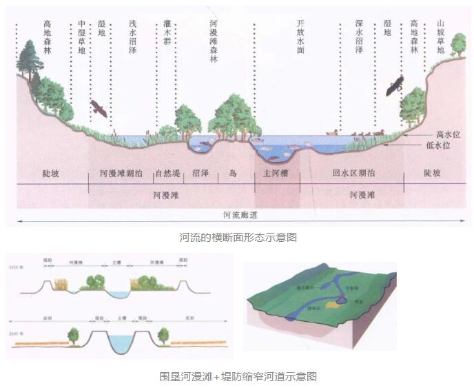 知识分享2