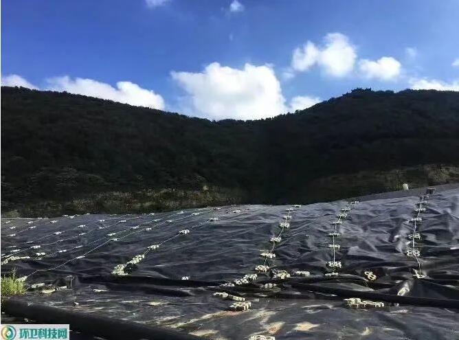 埋场1