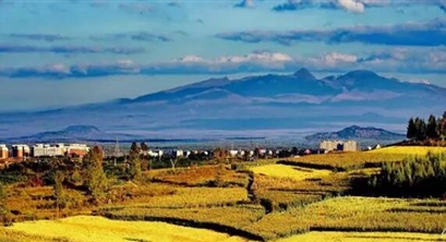 乡村振兴土地政策的30种方案，全面解析！