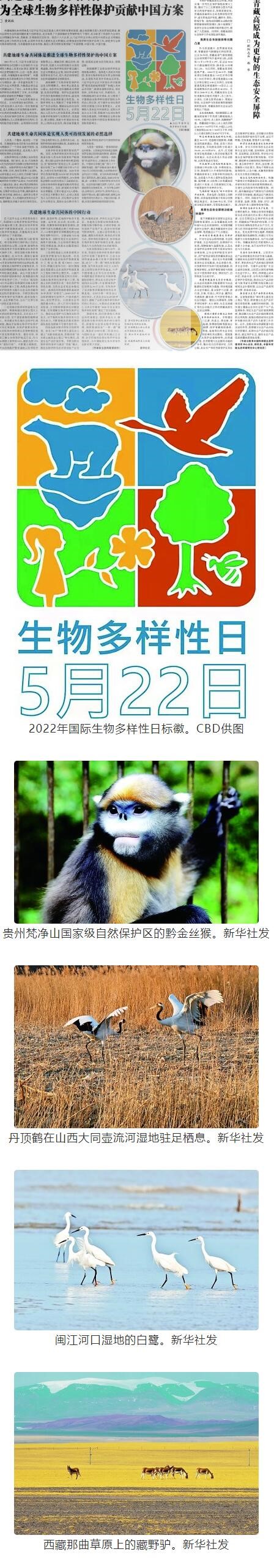 QQ截图20220606104832