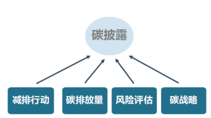 双碳12