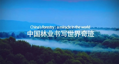 国际森林日｜多项世界第一，中国林业当仁不让