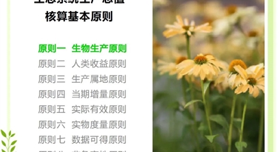 【拿图说理】​生态系统生产总值核算的基本原则（一）