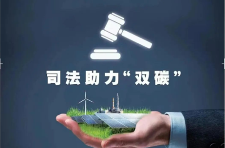 系列报道：听庭长讲述一起破产案件背后的环保故事