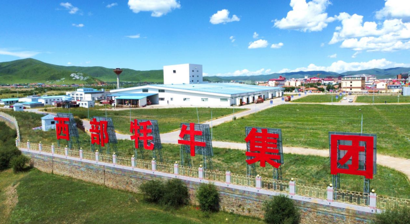 企业微信截图_20260130165244 企业微信截图_20260130165244